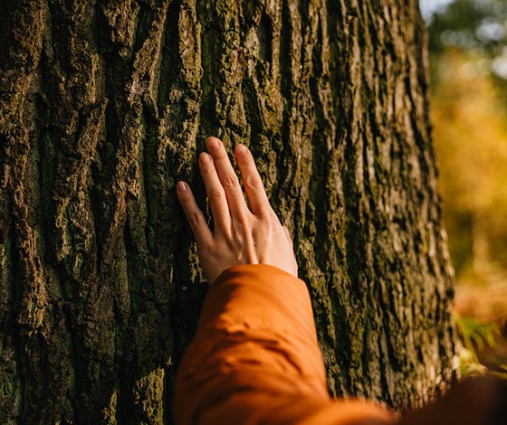 SITA’s Sustainability Strategy